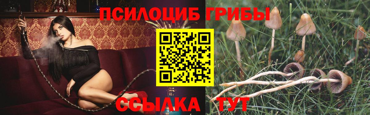 Галлюциногенные грибы мицелий Карпинск